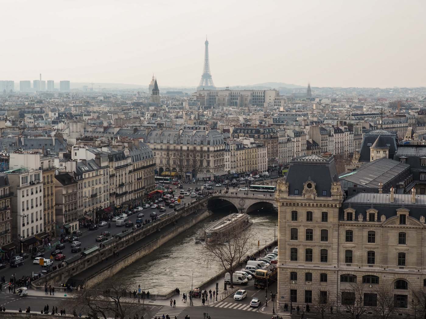 View of Paris from the top of Notre Dame