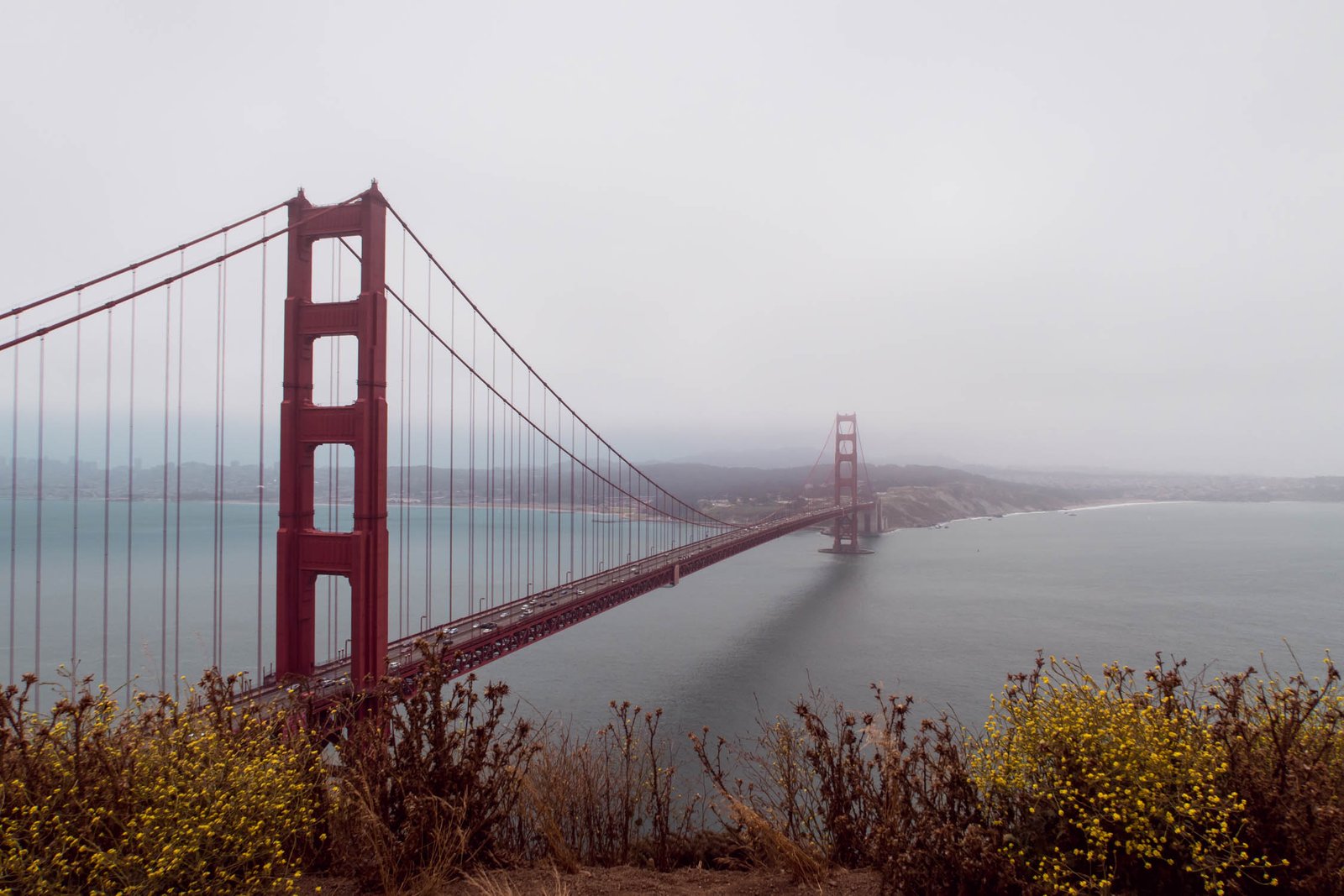 Golden Gate Bridge Hilltop View
