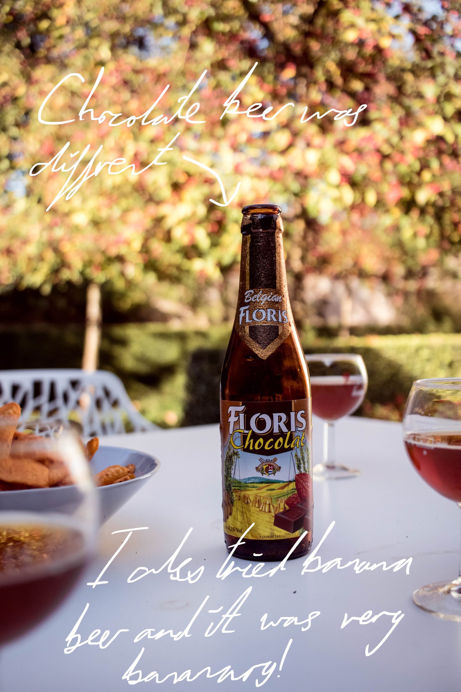 Chocolate Belgian Beer